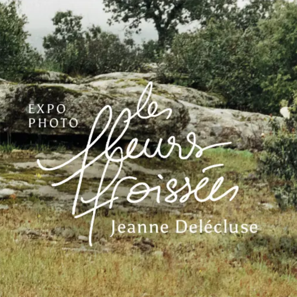 Les Fleurs Froissées - Jeanne Delecluse - photographies