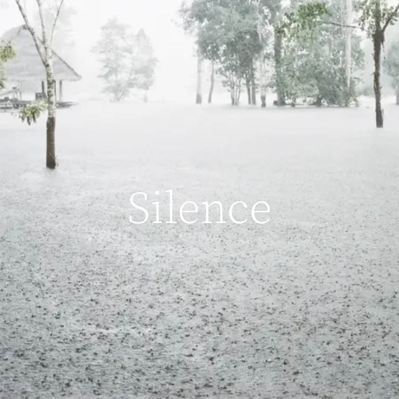 JDelecluse Silence
