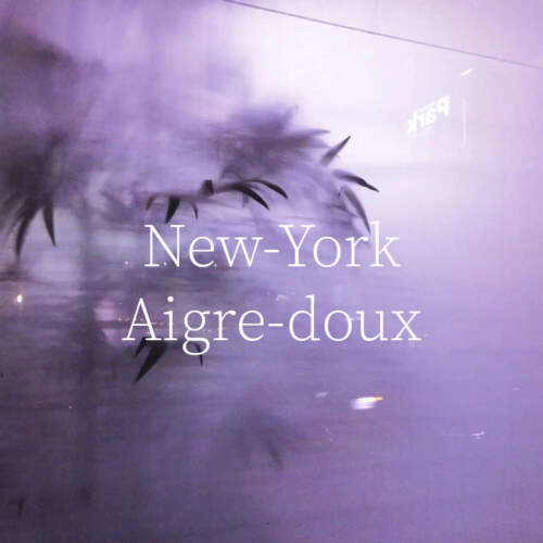 JDelecluse Newyorkairgedoux