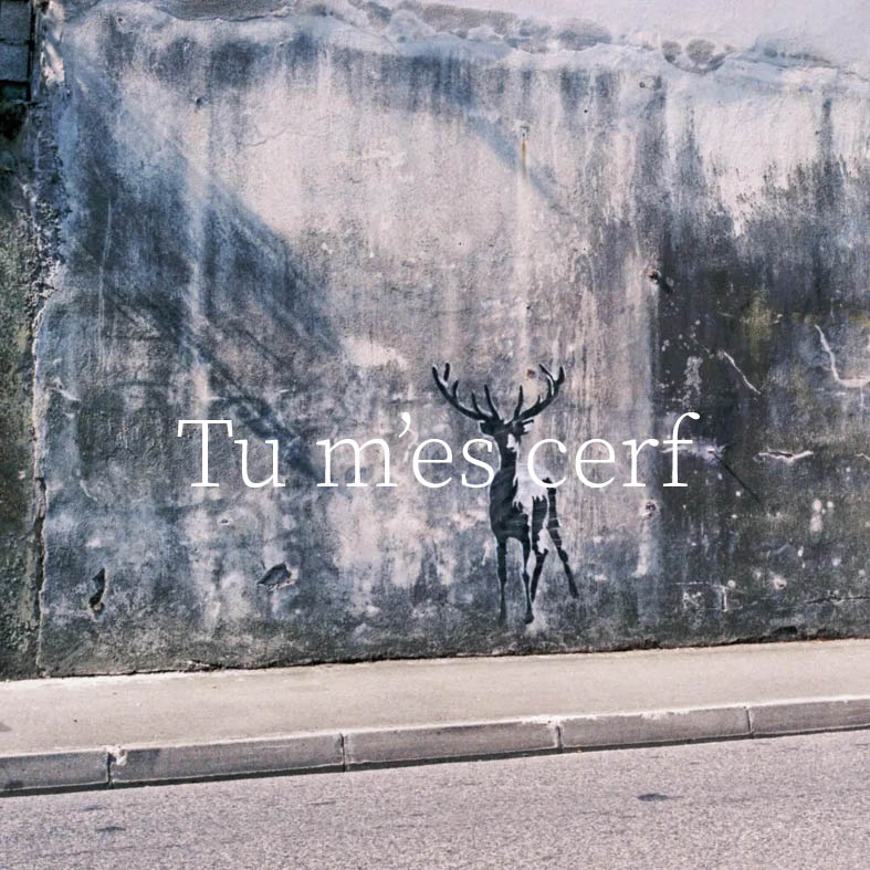 JDelecluse Tumescerf