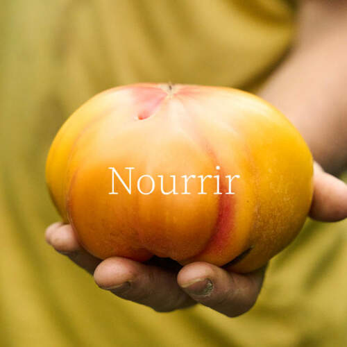 JDelecluse Nourrir